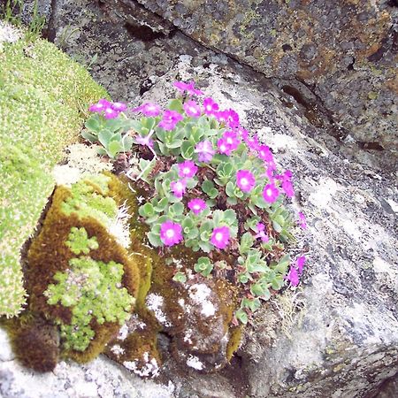 Les Clarines Perceneige - Chambre D'Hotes Vue Sur Montagne & Spa Saint-Jacques-en-Valgodemard 外观 照片